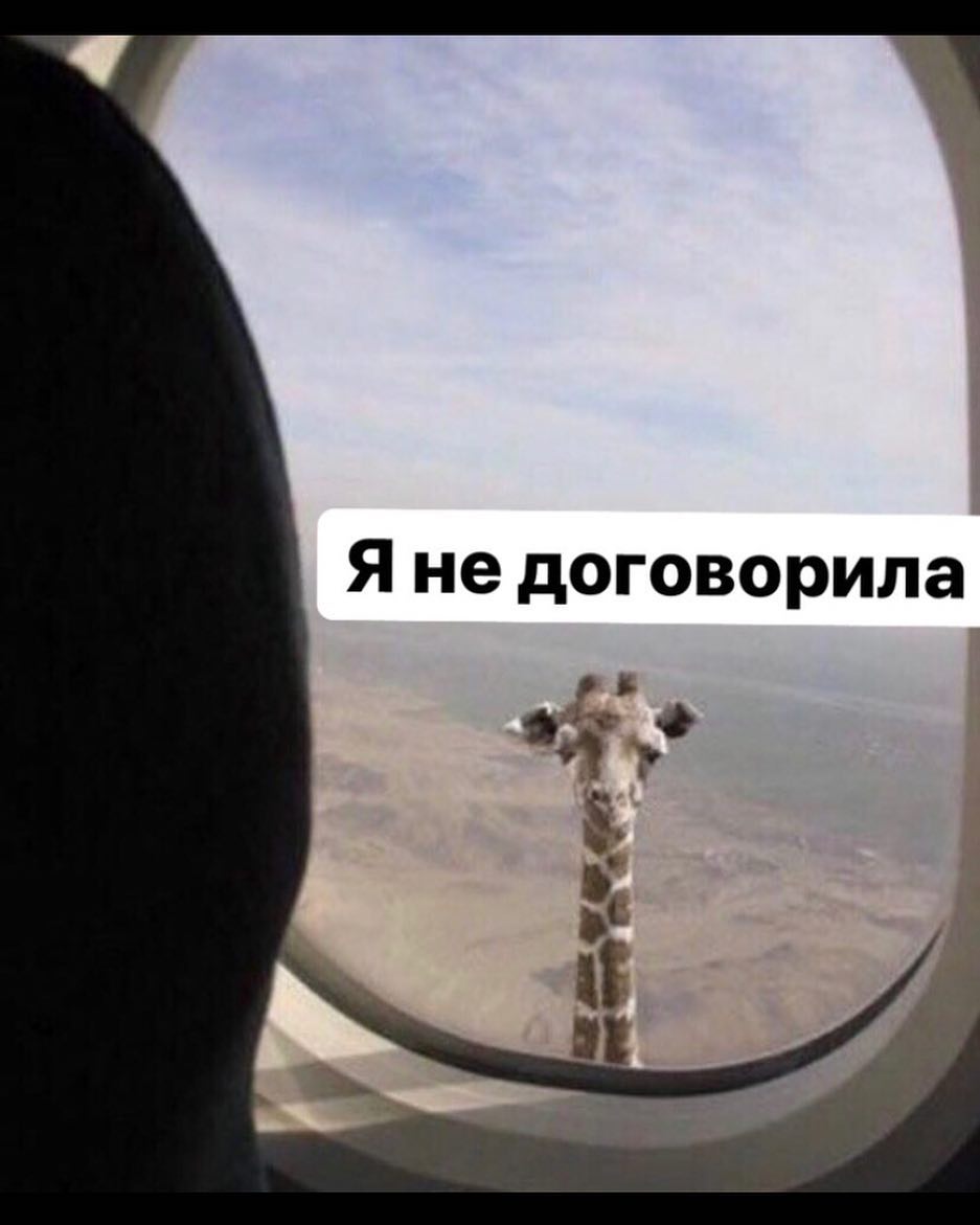 Я не договорила