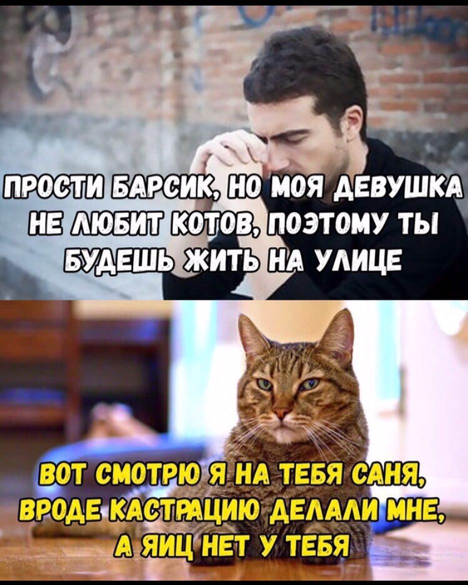 двкдсттциюкдвдми мне А яицЁЁту тЕЁя
