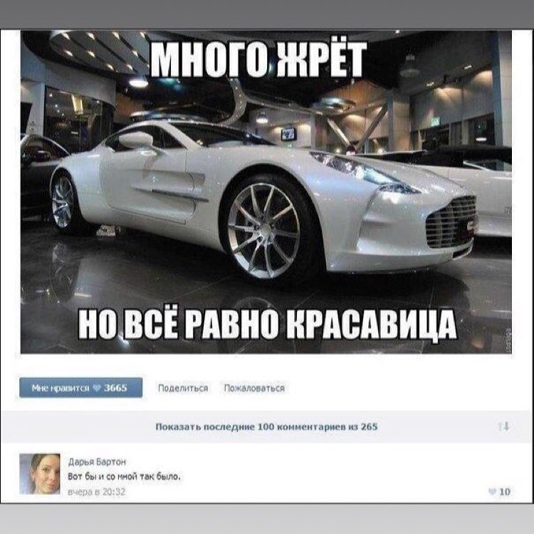 мною ЖРЁТ шиммппонп ции и аг