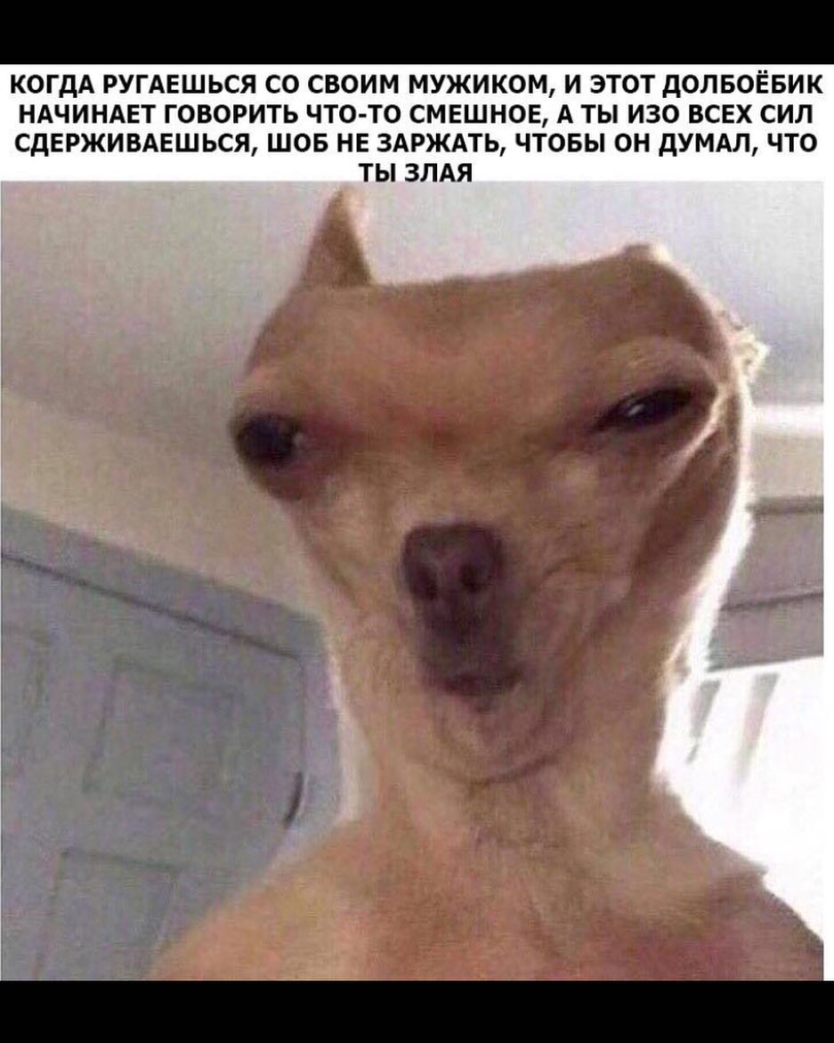 КОГДА РУГАЕШЬСЯ СО СВОИМ МУЖИКОМ И ЭТОТ ДОЛБОЁБИК НАЧИНАЕТ ГОВОРИТЬ ЧТО ТО СМЕШНОЕ А ТЫ ИЗО ВСЕХ СИЛ СДЕРЖИВАЕШЬСЯ ШОБ НЕ ЗАРЖАТЬ ЧТОБЫ ОН ДУМАЛ ЧТО ТЫ ЗЛАЯ