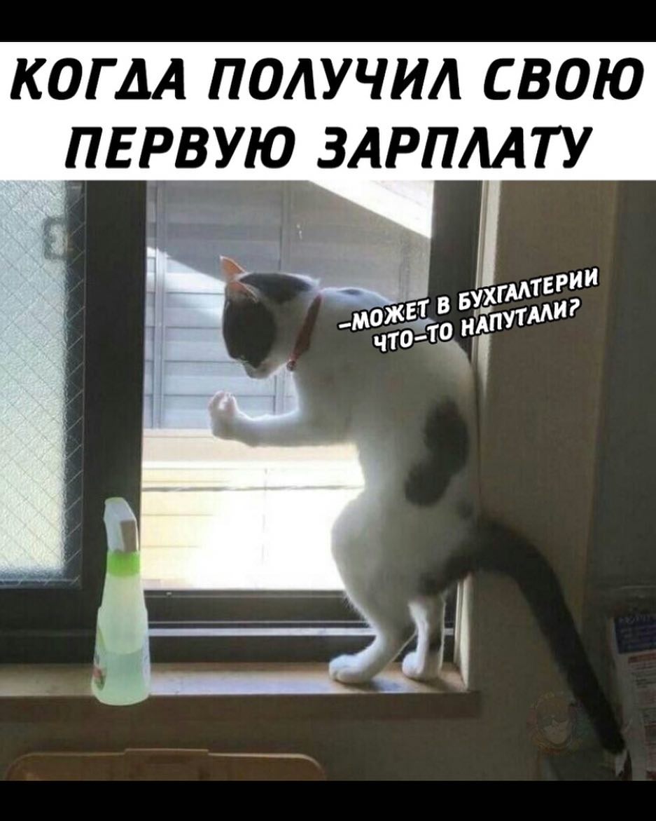 КОГДА ПОЛУЧИЛ СВОЮ ПЕРВУЮ ЗАРПМТУ
