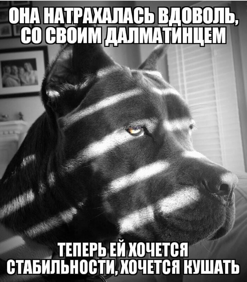 ВИА ШШШЛА Ш ВДВВШТЬ 00 ШИИ ЩШМА ВТАБИПЬШЮТИ ИПЧЕТВИ ИУШАТЬ ТЕПЕРЬ ЕИ И0ЧЕТШ