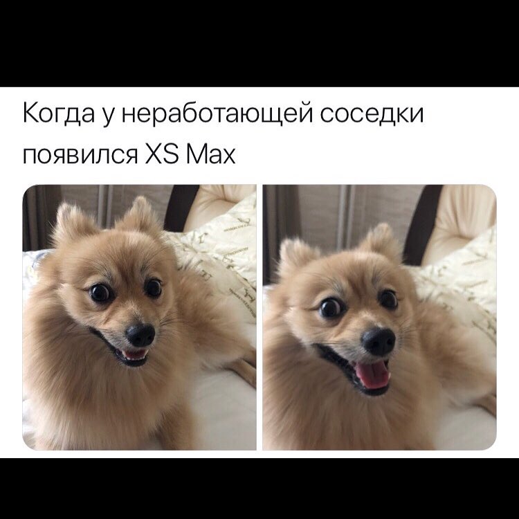 Когда у неработающей соседки появился ХЗ Мах