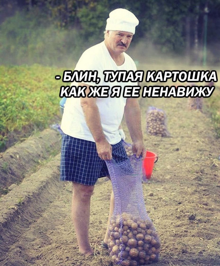 ЁАИ гупдядкдртошкщ дкдкёшзгэ жндвигда