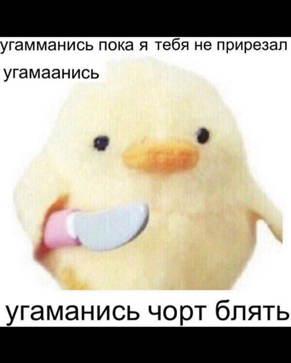 угамманись ПОКЭ Я тебя не прирезап угамаанись угаманись чорт блять