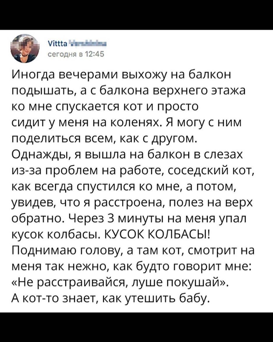 ита Иногда вечерами выхожу на балкон подышать а с балкона верхнего этажа ко мне спускается кот и просто сидит у меня на коленях Я могу с ним поделиться всем как с другом Однажды я вышла на балкон в слезах из за проблем на работе соседский кот как всегда спустился ко мне а потом увидев что я расстроена полез на верх обратно Через 3 минуты на меня упал кусок колбасы КУСОК КОЛБАСЫ Поднимаю голову а т