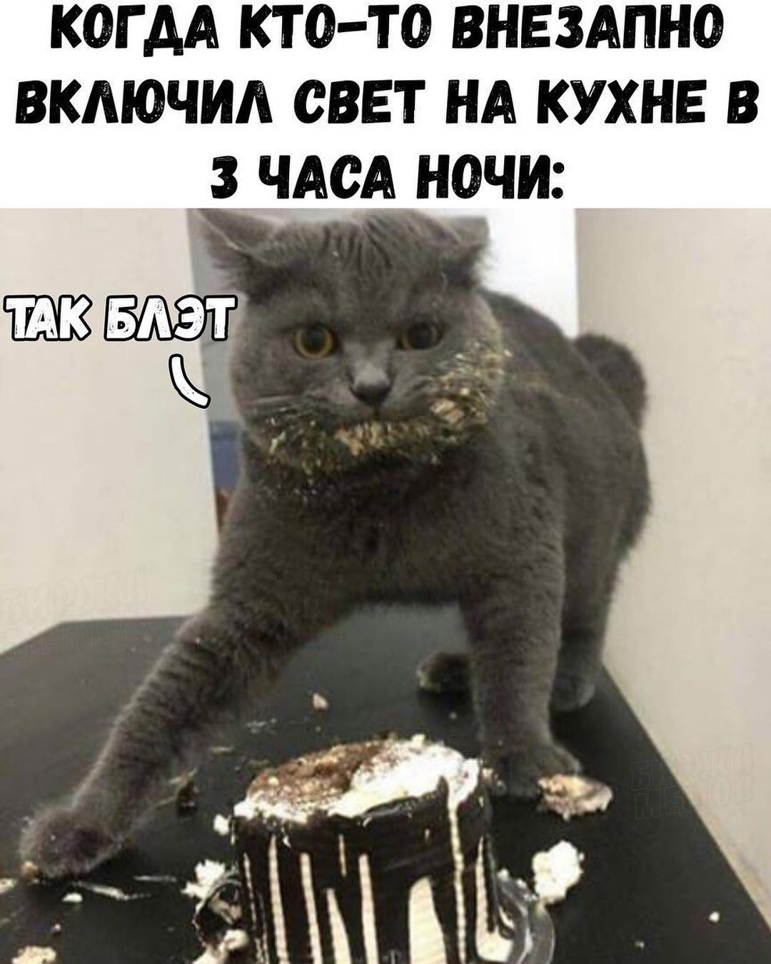 КОГ АА КТ О ТО ВНЕЗАПНО ВКМОЧИА СВЕТ НА КУХНЕ В 3 ЧАСА НОЧИ