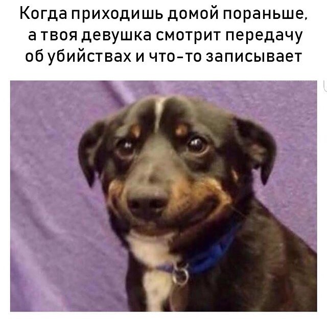 Когда приходишь домой пораньше а твоя девушка смотрит передачу об убийствах и что то записывает