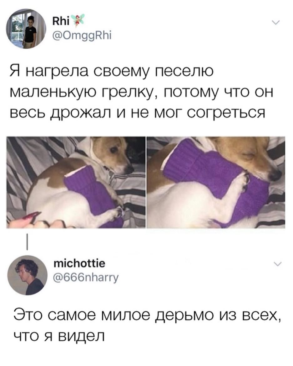 инга От99ЁЫ Я нагрела СВООМУ ПЭСЭЛЮ МЭЛЗНЬКУЮ грелку ПОТОМУ ЧТО ОН ВОСЬ ДРОЖЭЛ И НЭ МОГ согреться тісЬопіе 666пЬаггу ЭТО самое МИЛОЭ Дерьмо из всех ЧТО Я видел