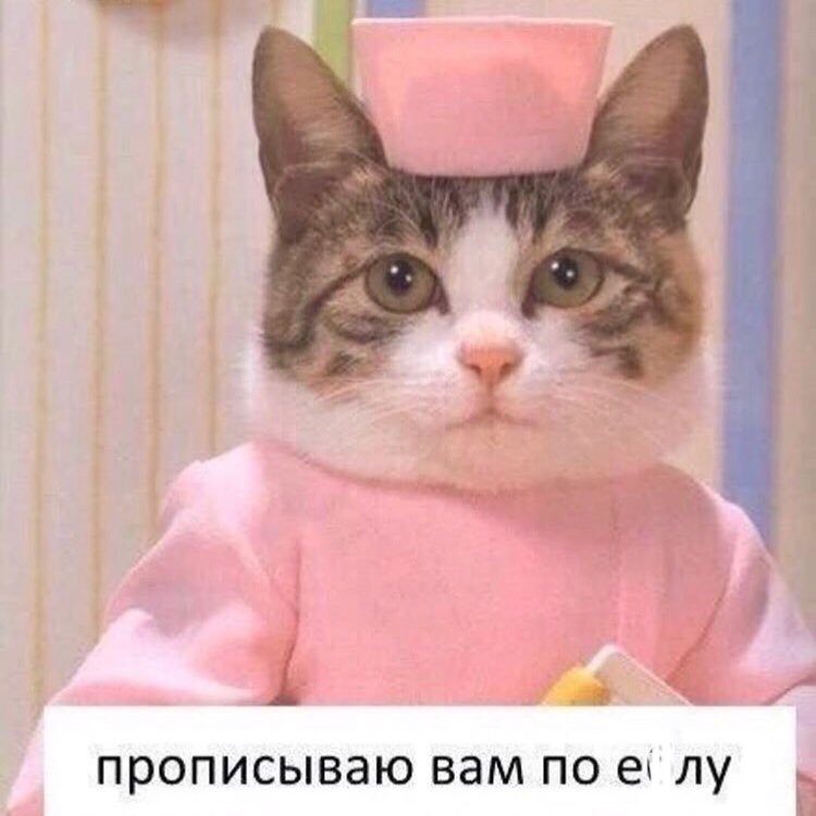 Ъ__ и прописываю вам по еі лу 1