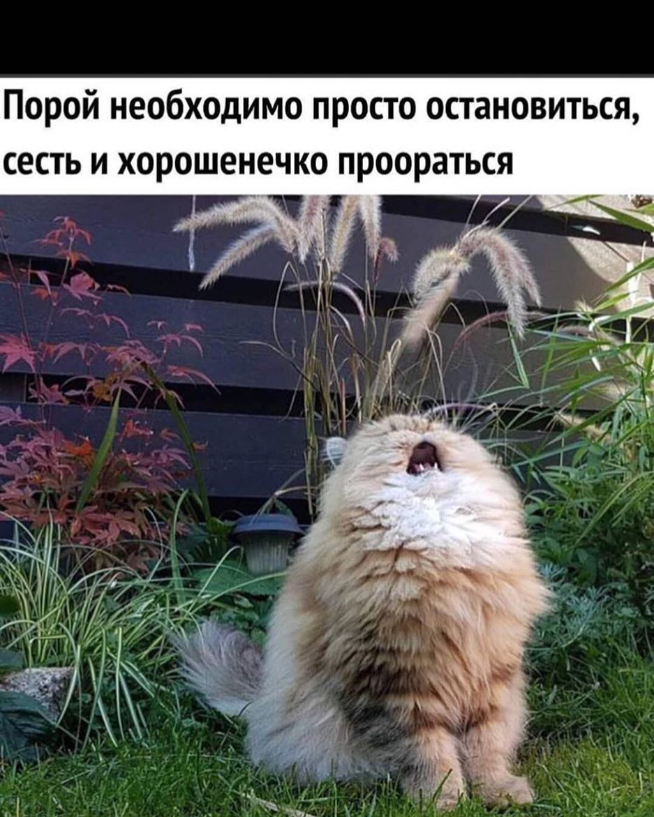 бходимо просто остановиться Порой нео я С В т а р 0 о р п о К ч е н е Ш 0 р 0 Х и В т с е с