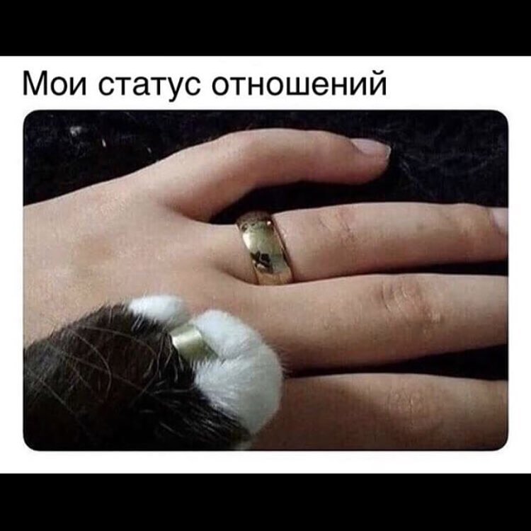 Мои статус отношений
