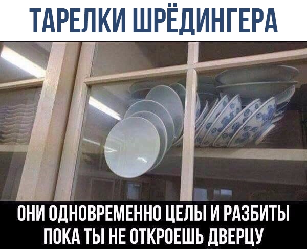 ТАРЕЛКИ ШРЁДИНГЕРА ОНИ ОДНОВРЕМЕННО ЦЕЛЫ И РАЗБИТЫ ПОКА ТЫ НЕ ОТКРОЕШЬ ДВЕРЦУ