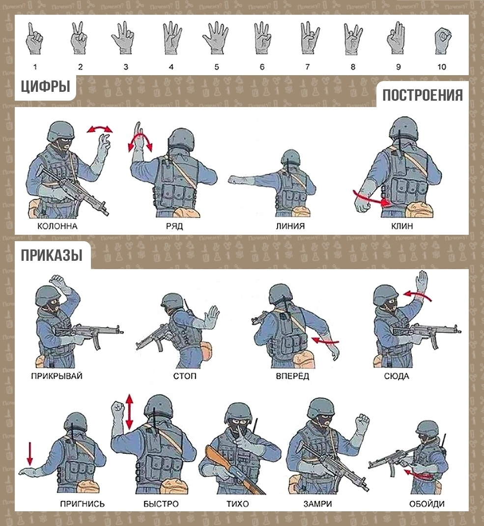 ё ЦИФРЫ ПОСТРОЕНИЯ ПРИГНИСЬ БЫСТРО