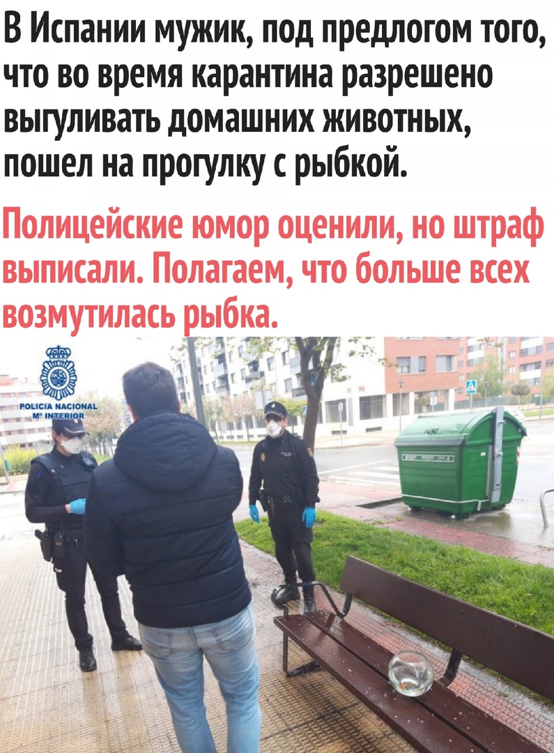 В Испании мужик под предлогом того что во время карантина разрешено выгуливать домашних животных пошел на прогулку рыбкой