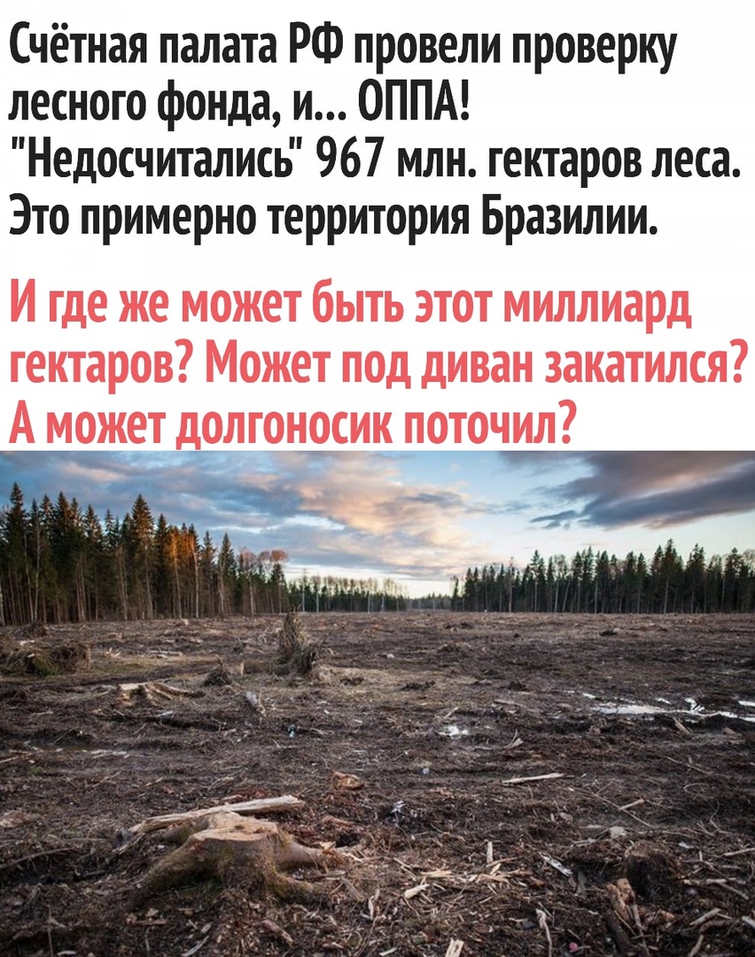 Счётная палата РФ провели проверку лесного фонда и ОППА Недосчитались 967 млн гектаров леса Это примерно территория Бразилии И где же может быть этот миллиард гектаров Может под диван закатился А может долгоносик поточил7