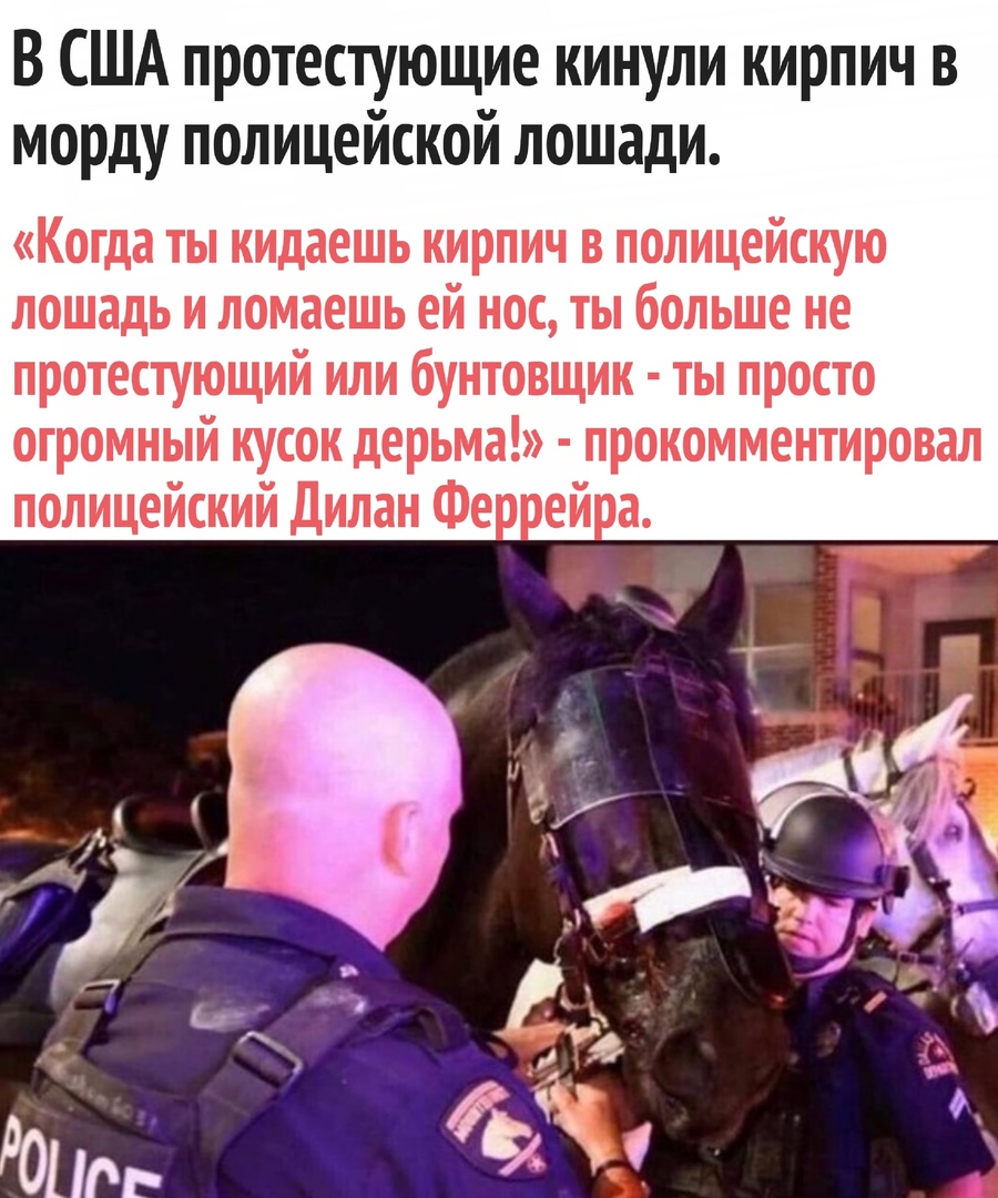 В США протестующие кинули кирпич в морду полицейской лошади Когда ты кидаешь кирпич в полицейскую лошадь и ломаешь ей нос ты больше не протестующий или бунтовщик ты просто огромный кусок дерьма прокомментировал полицейский Дилан Фе ей а
