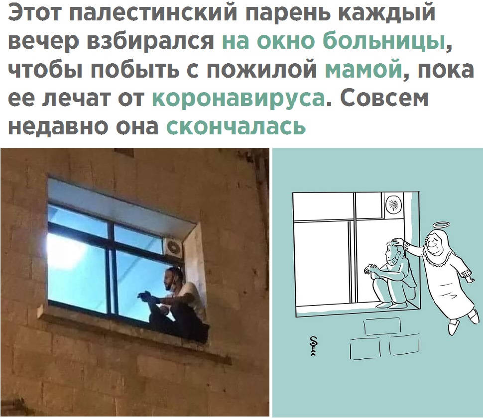 Этот палестинский парень каждый вечер взбирался на окно больницы чтобы побыть с пожилой мамой пока ее лечат от коронавируса Совсем недавно она скончалась