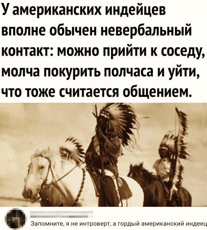 У американских индейцев вполне обычен невербальный контакт можно прийти к соседу молча покурить полчаса и уйти что тоже считается общением Запомните я не интроверт а гордый американский индеец
