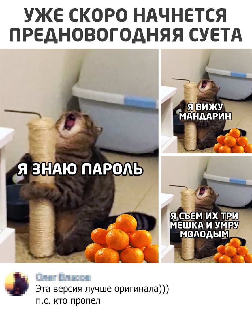 УЖЕ СКОРО НАЧНЕТСЯ ПРЕДНОВОГОДНЯЯ СУЕТА гг чг Эта версия лучше оригинала пс кто пропел