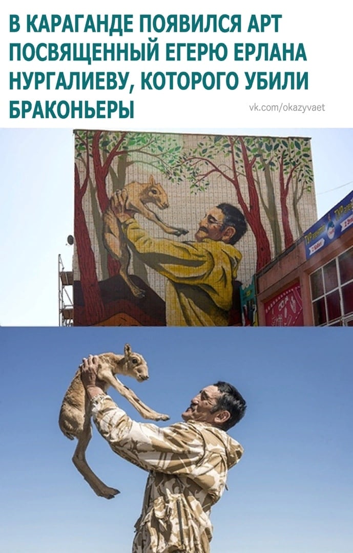 В КАРАГАНДЕ ПОЯВИЛСЯ АРТ ПОСВЯЩЕННЫЙ ЕГЕРЮ ЕРЛАНА НУРГАЛИЕВУ КОТОРОГО УБИЛИ БРАКОНЬЕРЫ