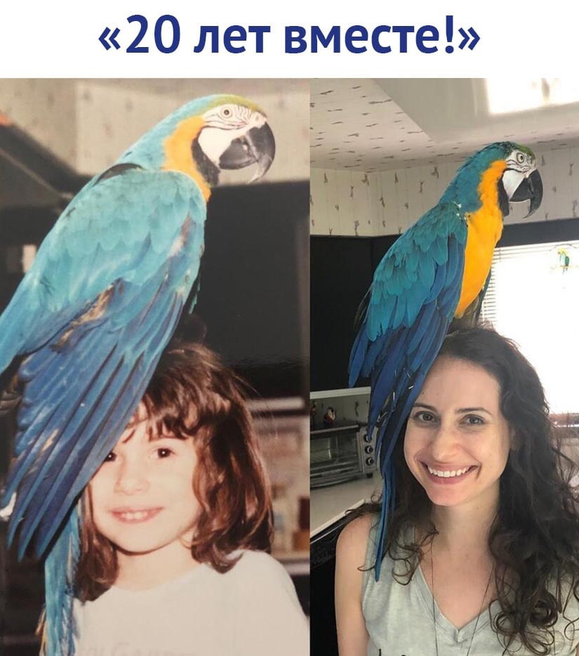 20 лет вместе