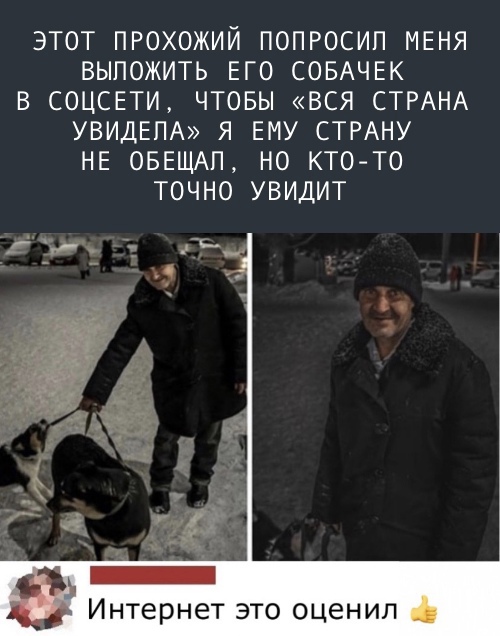 ЭТОТ ПРОХОЖИЙ ПОПРОСИП МЕНЯ ВЫПОЖИТЬ ЕГО СОБАЧЕК В СОЦСЕТИ ЧТОБЫ ВСЯ СТРАНА УВИДЕПА Я ЕМУ СТРАНУ НЕ ОБЕЩАП НО КТО ТО ТОЧНО УВИДИТ З и Интернет это оценил