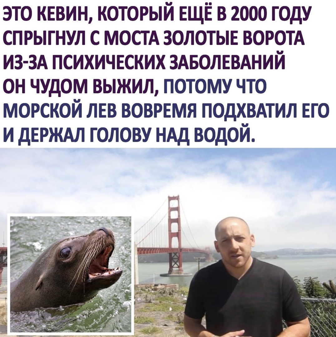 это кввин который ЕЩЁ в 2000 году спрыгнул с мост золотыв воротд ИЗ ЗА психичвских здволввдний он чудом выжил потому что морской лев воврнмя подхвмил ЕГО и дЕРЖАЛ голову НАД водой