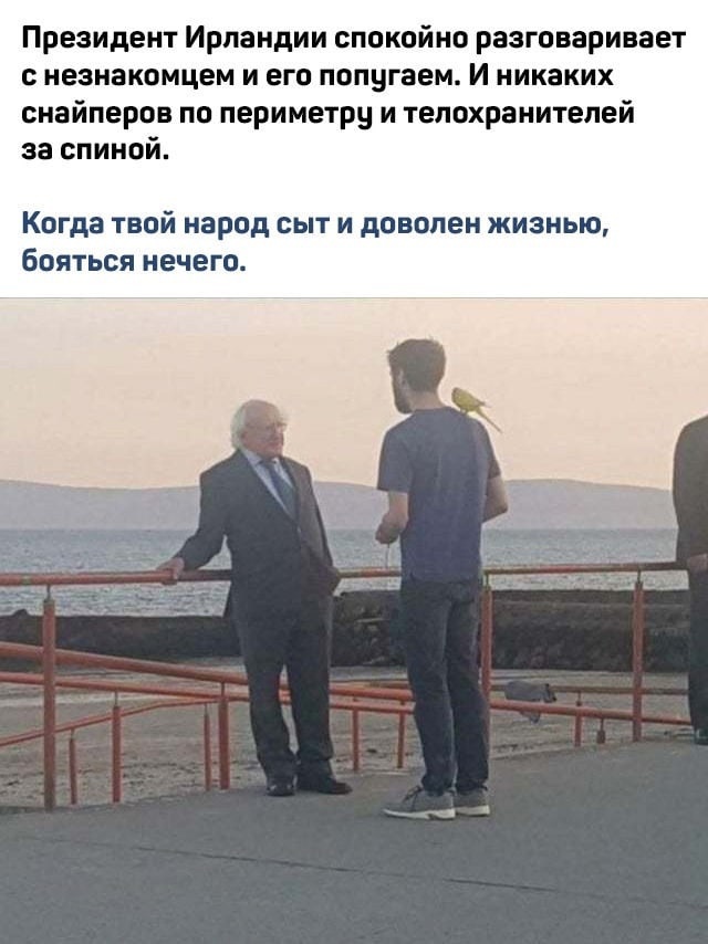 Президент Ирландии спокойно разговаривает незнакомцем и его попугаем и никаких снайперов по периметру и телохранителей за спиной Когда твой народ сыт и доволен жизнью бояться нечего
