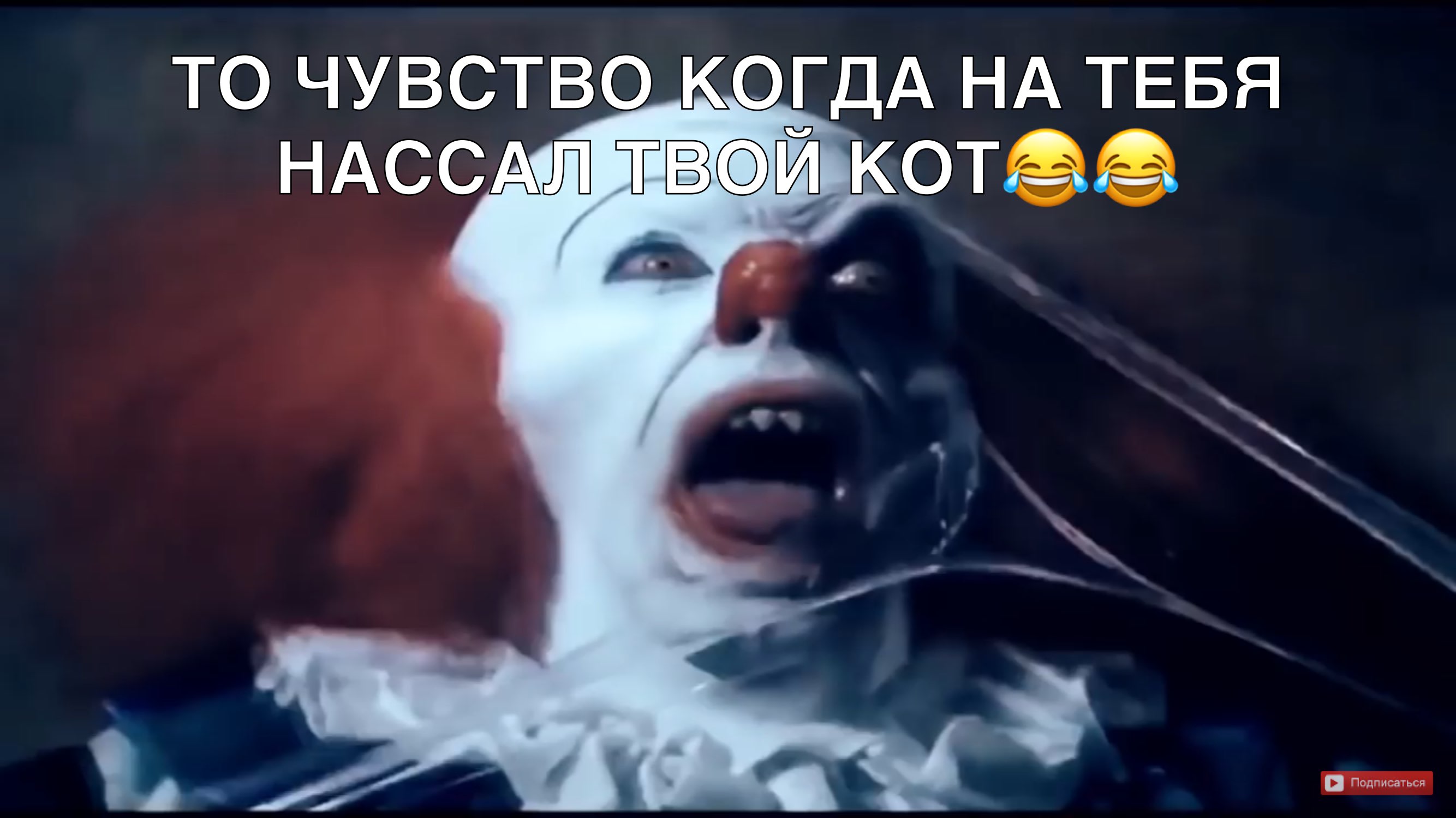 то чувство КОДА НА ТЕБЯ НАССАЛ тюи котвс А