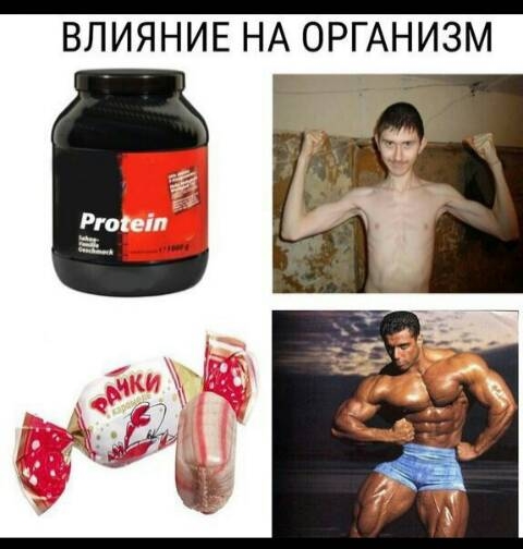 ВЛИЯНИЕ НА ОРГАНИЗМ