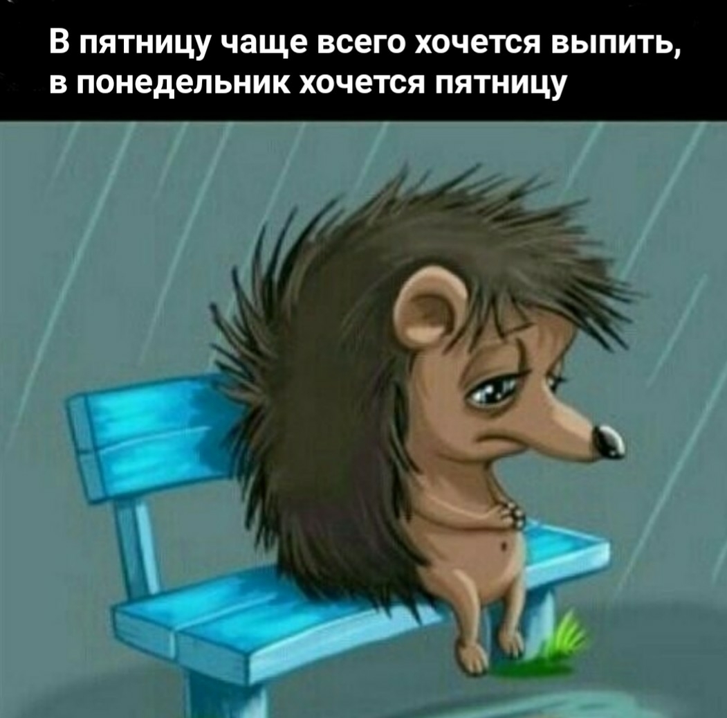 5 пятницу чаще всего хочется выпить в понедельник хочется пятницу