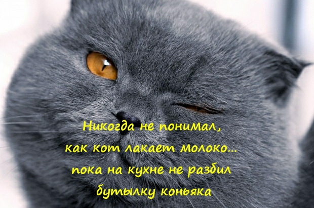 Как Коил лака 7 пока на кухне нёразд ддилылки коНеяКах
