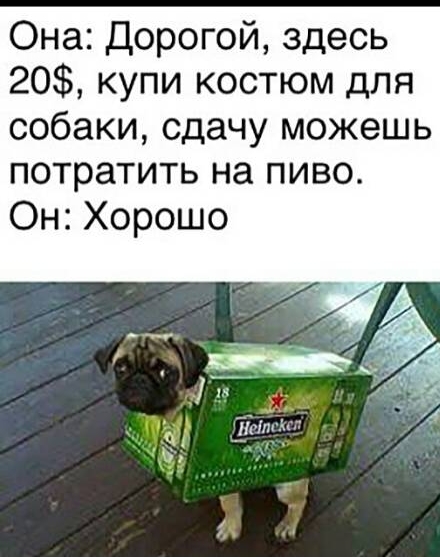 Она Дорогой здесь 20 купи костюм для собаки сдачу можешь потратить на пиво Он Хорошо