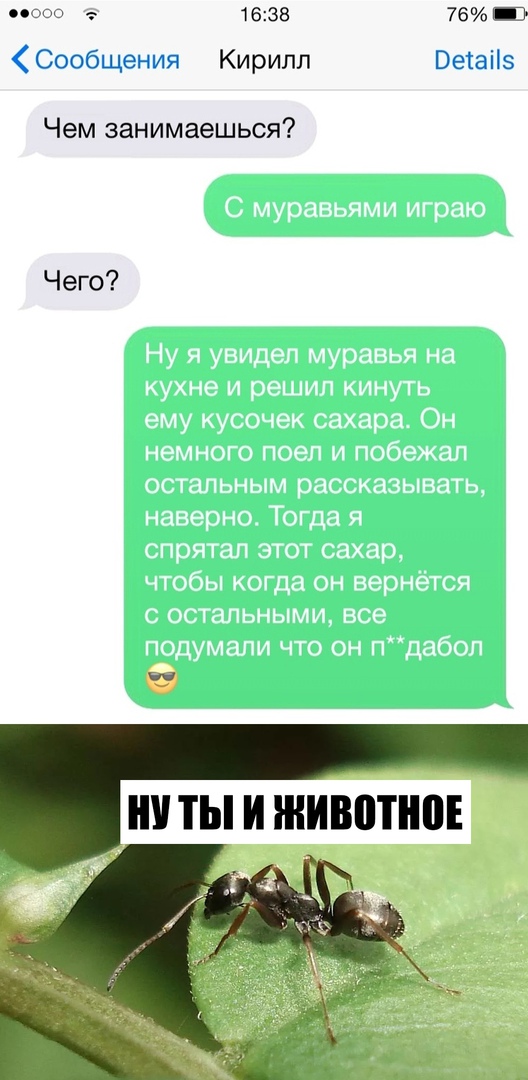 ооо 1638 Сообщения Кирилл Чем занимаешься Чего 76 Э Ветаііэ
