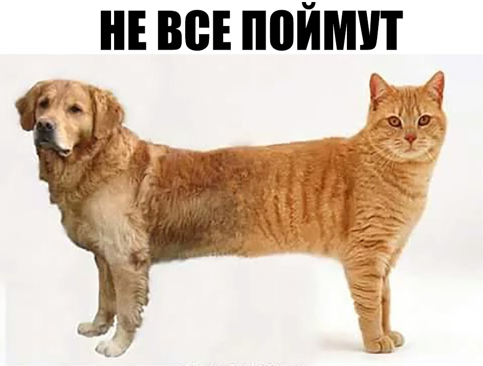 НЕ ВСЕ ПОЙМУТ из
