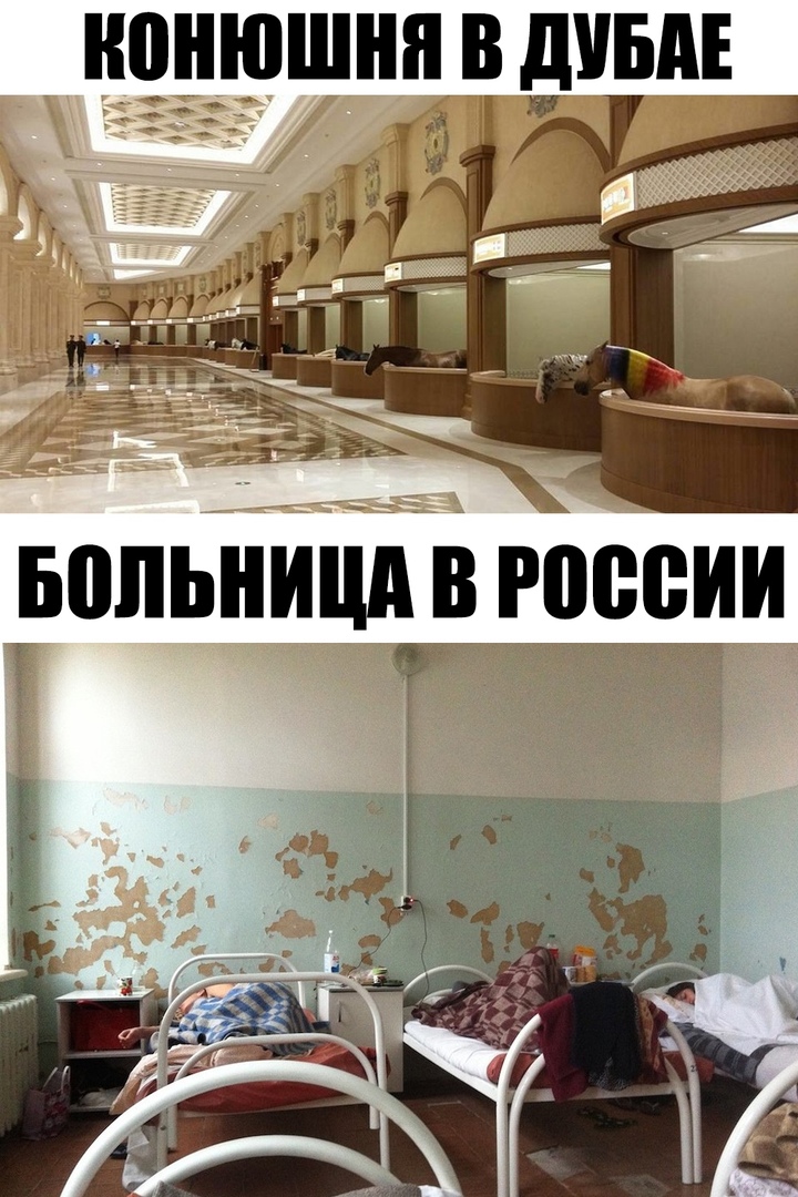 дг 41 дърі