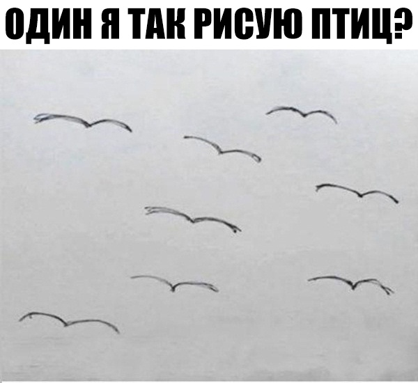 один Я П РИВУЮ ПТИЦ