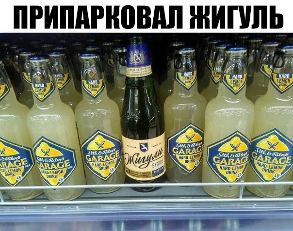 ПРИПдРіЮВдЛ ШИПШЬ
