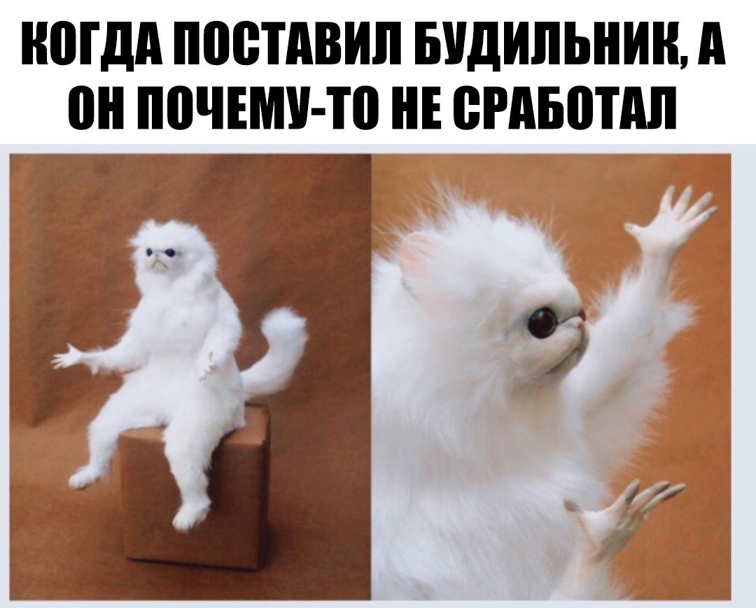 НПГДА ППВТАВИЛ БУДИЛЬНИН А он ПВЧЕМУ ТП НЕ ВРАБВПШ