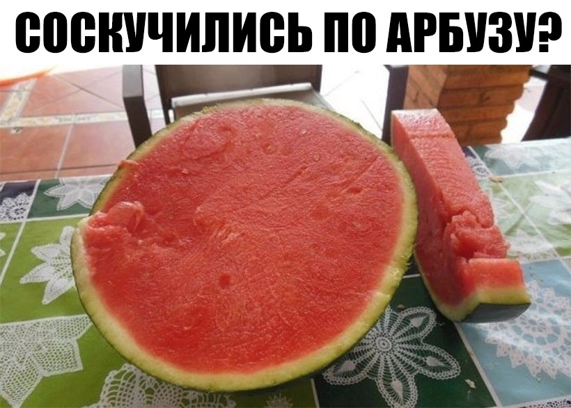 ВПВШЩИЛИВЬ 0 АРБУЗ 3 1