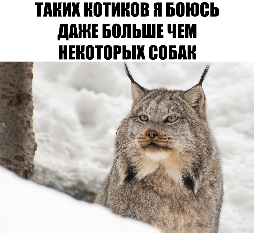 ПШИК НЩИНПВ июнь ддЖЕ БПЛЬШЕ ЧЕМ НЕНПТВРЬШ 0051