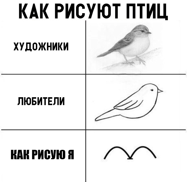КАК РИСУЮТ ПТИЦ художники ЛЮБИТЕЛИ иди рисую и