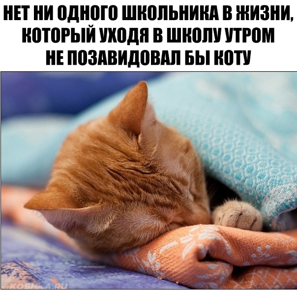 П И однрго ШЮПЬИШ В ЖИЗНИ НПШРЫИ ШШШ В ШШШ ПРПМ НЕ ППЗПВИДПШШ БЫ ПТУ