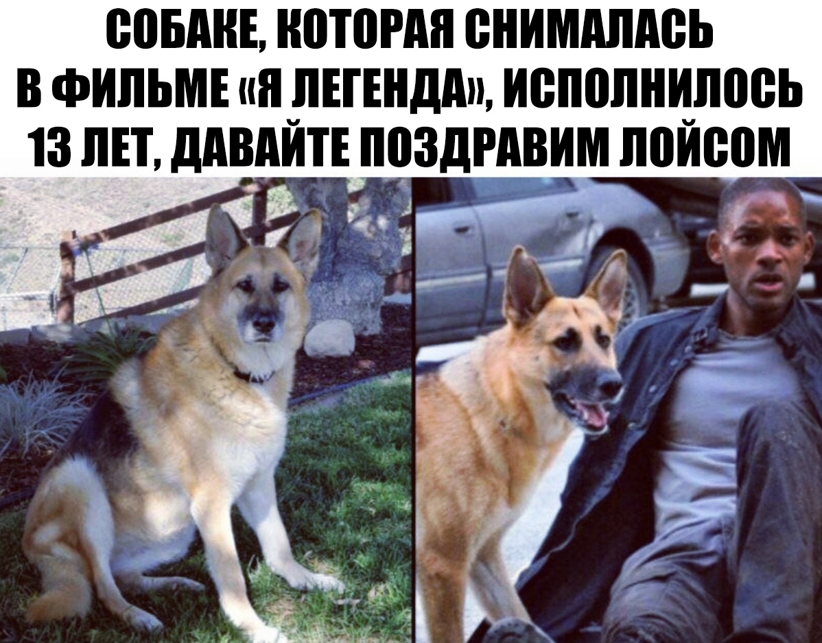 ВПБАИЕ ИПТШМ ВИИМШИШЬ В ФИЛЬМЕ ия ЛЕГЕНДА исполнилось 13 ЛЕТ ддВдИТЕ ППЗДРДВИМ ИВИВПМ