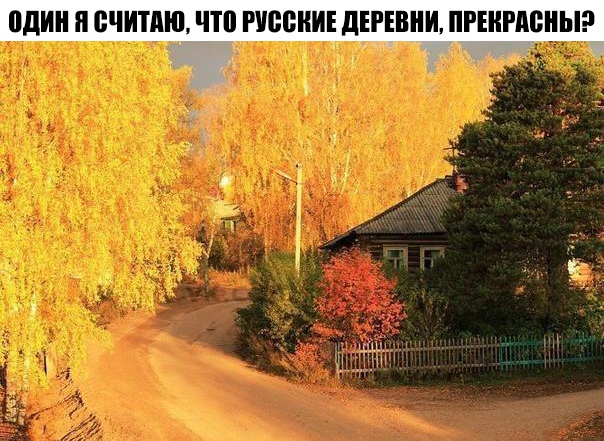 один и БЧИТАЮЕШ РИСКИ дЕРЕВНИ ПРЕИРМЖЫ