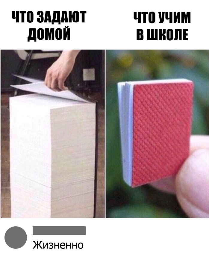 ЧТП ЗАДЁЮТ что УЧИМ домои В ШКОЛЕ _ Жизненно
