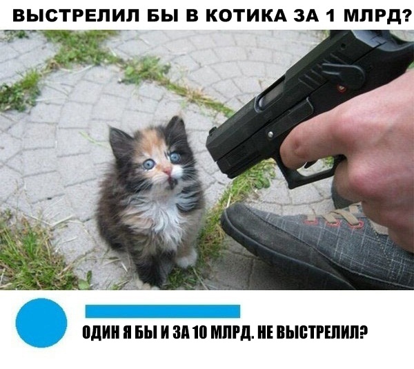 ВЫСТРЕПИП БЫ В КОТИКА ЗА 1 МЛРД пдиііі вы измп міпід и выптпипэ