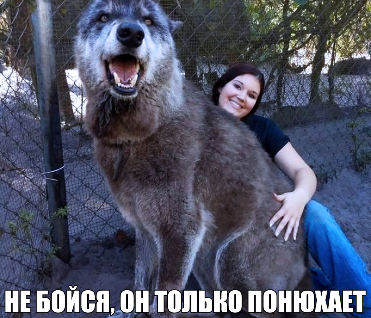 __ Е Ш Ш ён А _ ЯЬШ ч и
