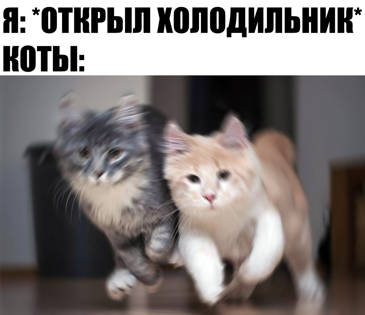 Я ЩШЬШ ШППДИПЬНШГ